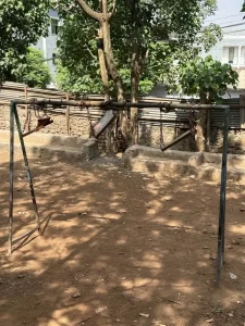 hibret-elementary-school-gondar-renovation 5